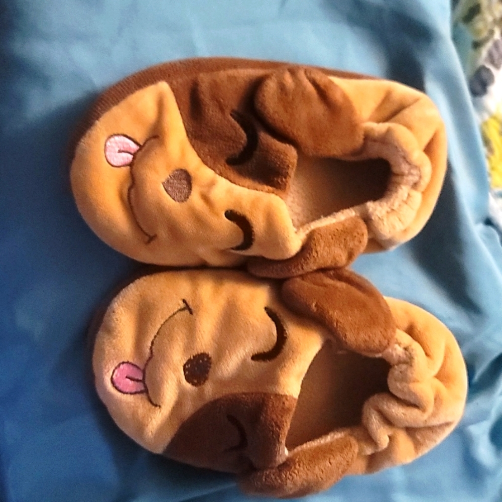 Size small (7-8c) puppy slippers